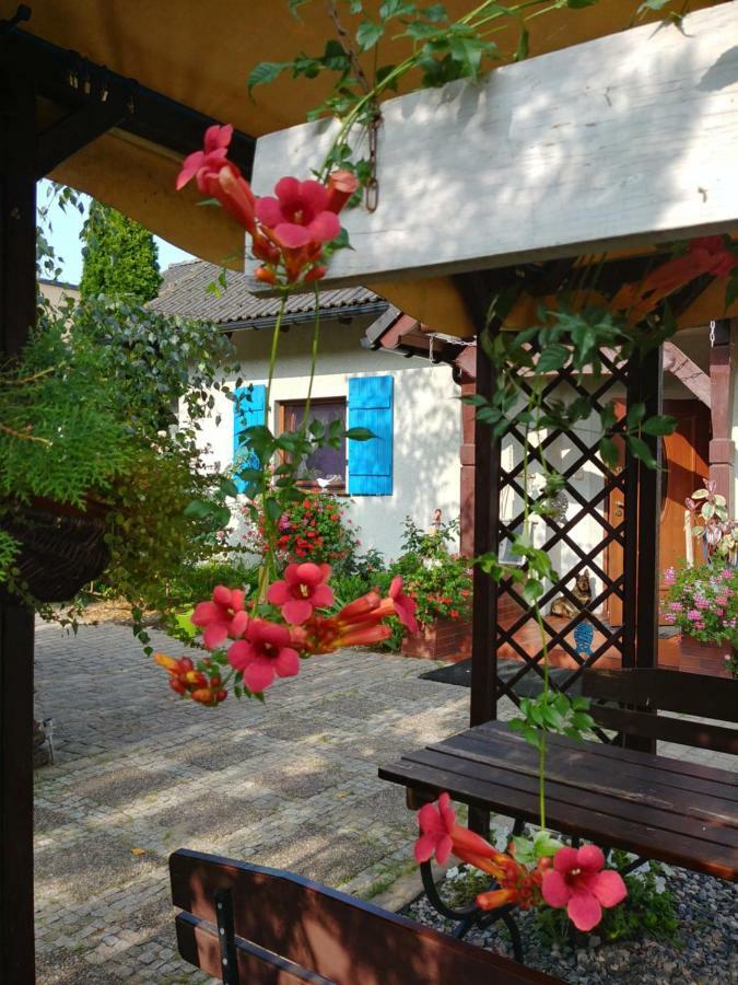 Pokoje Goscinne Aga Widuchowa Экстерьер фото